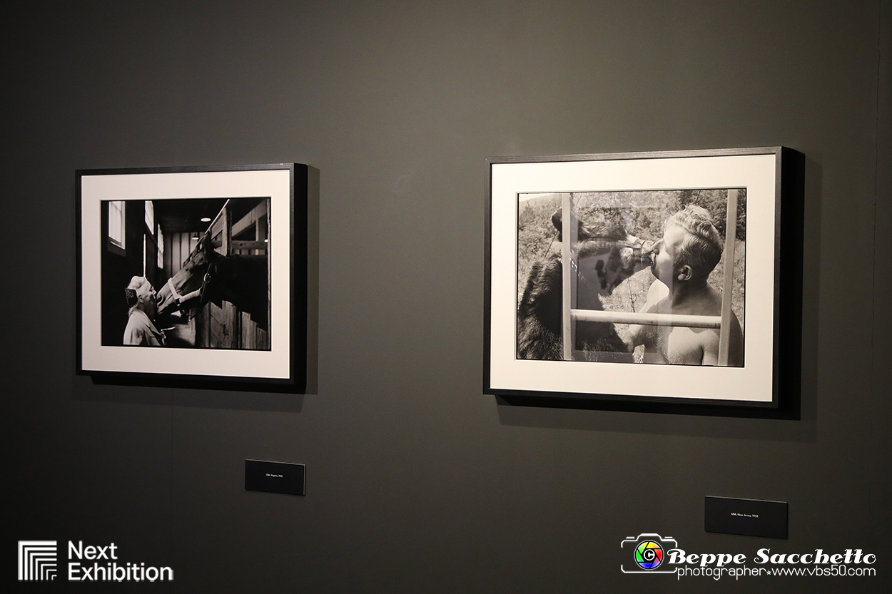 VBS_9548 - Mostra Elliott Erwitt - Family.jpg